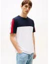 Camiseta color block Global Stripe